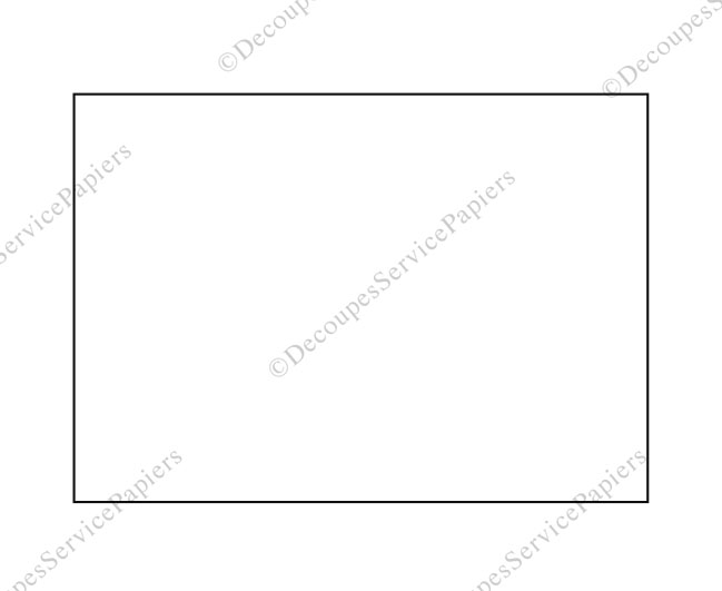 rectangle 44 X 31.jpg